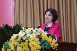 Phó Bí thư Thường trực Tỉnh ủy, Chủ tịch Hội đồng Nhân dân tỉnh Bắc Ninh Nguyễn Hương Giang phát biểu tại Hội thảo. (Ảnh: Thanh Thương/TTXVN)