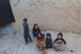 Ảnh minh họa (Nguồn: AFP/TTXVN)