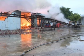 Hiện trường vụ cháy tại nhà xưởng của Công ty trách nhiệm hữu hạn Dịch vụ và Sản xuất Tam Phát. (Ảnh: TTXVN)