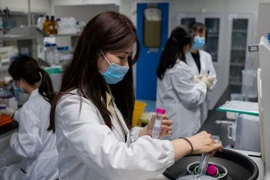 Ảnh minh họa. (Nguồn: Getty Images)