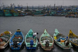 Ngư dân neo đậu tàu thuyền tránh bão Mandous tại cảng cá Kasimedu ở Chennai, Ấn Độ, ngày 8/12/2022. (Ảnh: AFP/ TTXVN)