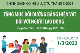 [Infographics] Tăng mức bồi dưỡng bằng hiện vật đối với người lao động