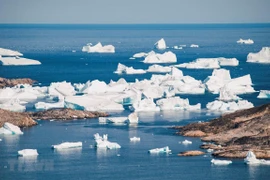 Ảnh minh họa.(Nguồn:AFP/TTXVN)