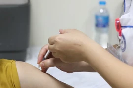 (Ảnh minh họa: Minh Quyết/TTXVN) 