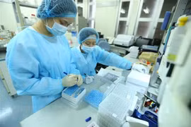 (Ảnh minh họa: Minh Quyết/TTXVN) 
