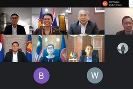 Ủy ban Điều phối Kết nối ASEAN họp phiên đầu tiên trong năm 2021 (ACCC 1/2021) theo hình thức trực tuyến (Ảnh: TTXVN phát)