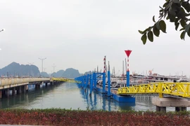 Các tàu du lịch tạm dừng hoạt động tại Cảng tàu du lịch quốc tế Hòn Gai do dịch COVID-19 (Ảnh: Văn Đức - TTXVN) 