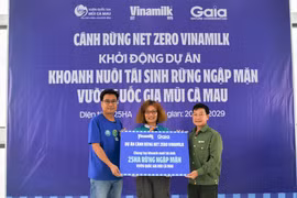 Vinamilk triển khai dự án tái sinh 25 hecta rừng ngập mặn tại Cà Mau
