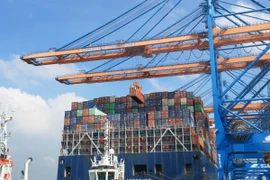 Bốc dỡ container lên tàu trọng tải 200.000DWT tại cảng quốc tế Gemalink, thị xã Phú Mỹ, tỉnh Bà Rịa - Vũng Tàu. (Ảnh: Hồng Đạt/TTXVN)