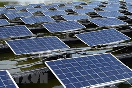 Công ty Hàn Quốc đầu tư 2,5 tỷ USD vào sản xuất tấm pin mặt trời ở Mỹ