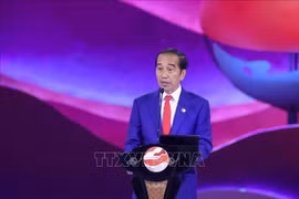 Tổng thống Indonesia Joko Widodo. (Ảnh: Dương Giang/TTXVN)