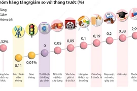 Chỉ số Giá tiêu dùng tháng 11/2023 tăng 0,25% so với tháng trước 