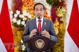 Tổng thống Indonesia Joko Widodo. (Ảnh: AFP/TTXVN) 