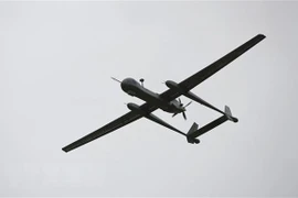 Ảnh minh họa (Nguồn: AFP/TTXVN)