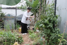 Thành viên của dự án Cộng đồng không rác thải chăm sóc vườn cây từ rác. (Ảnh: Văn Dũng/TTXVN)