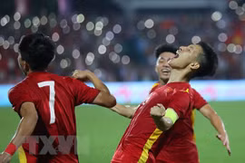 (Ảnh: Hoàng Linh/TTXVN)