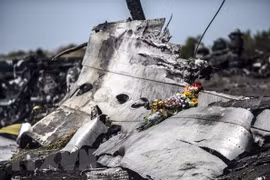 Xác máy bay MH17 của Hãng hàng không Malaysia Airlines bị bắn rơi gần làng Grabove, cách Donetsk, miền Đông Ukraine khoảng 80km, tháng 9/2014. (Ảnh: AFP/TTXVN) 