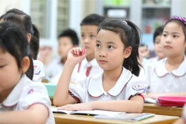 ( Ảnh: Thành Đạt/TTXVN) 