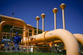 Đường ống dẫn khí tại trạm nén khí Bulgartransgaz ở Ihtiman, Bulgaria. (Ảnh: AFP/TTXVN)