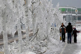 Băng giá ở Nga.(Nguồn: AFP)