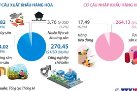 Việt Nam xuất siêu 24,44 tỷ USD trong 11 tháng của năm 2023