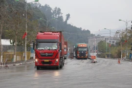 Khôi phục hoạt động xuất nhập khẩu, xuất nhập cảnh ở Cửa khẩu Hữu Nghị