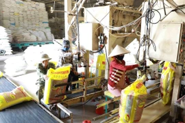 Đóng gói gạo xuất khẩu theo đơn đặt hàng tại nhà máy chế biến lương thực Long An (thuộc Vinafood 2). (Ảnh: Vũ Sinh/TTXVN) 