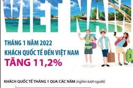 Tháng Một: Khách quốc tế đến Việt Nam tăng 11,2%