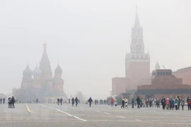 (Ảnh: Trần Hiếu/TTXVN) 