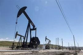 Ảnh minh họa (Nguồn: AFP/TTXVN) 