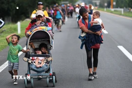 Ảnh minh họa. (Nguồn: TTXVN)