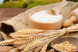 Ảnh minh họa (Nguồn: AP)