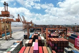 Vụ 5 container nghi bị lừa đảo tại Dubai: Lấp đầy lỗ hổng rủi ro