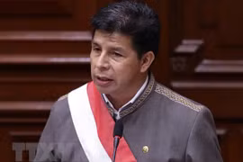 Tổng thống Peru Pedro Castillo. (Ảnh: AFP/TTXVN) 
