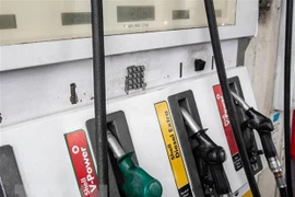 Ảnh minh họa (Nguồn: AFP/TTXVN)