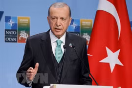 Tổng thống Tayyip Erdogan: Thổ Nhĩ Kỳ có thể "chia tay" với EU