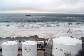 IAEA thừa nhận có bất đồng trong nhóm chuyên gia báo cáo về Fukushima