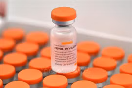 Vaccine ngừa COVID-19 của Sinovac. (Ảnh: AFP/TTXVN)