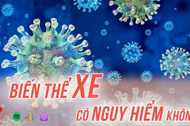 Dịch COVID-19: Đánh giá mức độ nguy hiểm của biến thể XE