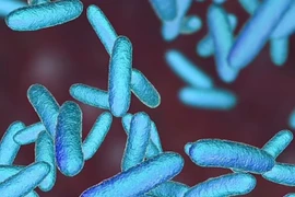 Một loại vi khuẩn. (Ảnh: Shutterstock) 