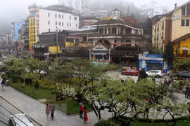 Ảnh minh họa. (Nguồn: Quốc Khánh/TTXVN)