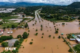 Ngập lụt ở Thái Lan. (Ảnh: REUTERS/TTXVN) 
