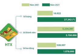 [Infographics] 20 năm khu vực kinh tế tập thể