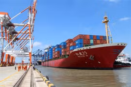 Tàu cập cảng Tân Cảng-Cái Mép Thị Vải, Thị xã Phú Mỹ (tỉnh Bà Rịa-Vũng Tàu). (Ảnh: Huỳnh Ngọc Sơn/TTXVN) 