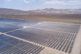 Tấm năng lượng mặt trời tại một nhà máy điện ở Mojave, California, Mỹ, ngày 18/6/2021. (Ảnh: AFP/ TTXVN)