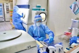 (Ảnh minh họa: TTXVN/Vietnam+) 