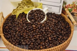 Giá càphê tăng cao, chạm mức kỷ lục của 15 năm qua