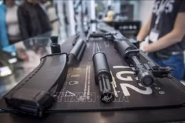 Ảnh minh họa (Nguồn: AFP/TTXVN)