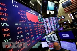 Ảnh minh họa (Nguồn: AFP/TTXVN)