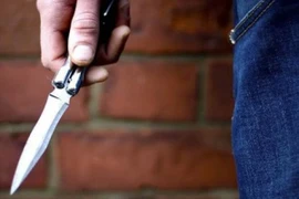 Pháp: Tấn công bằng dao tại Annecy khiến nhiều trẻ em bị thương